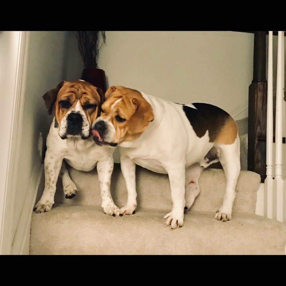 Meet your Posher, Elizabeth